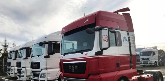 Craiovenii aleg piese de schimb pentru camion din dezmembrări